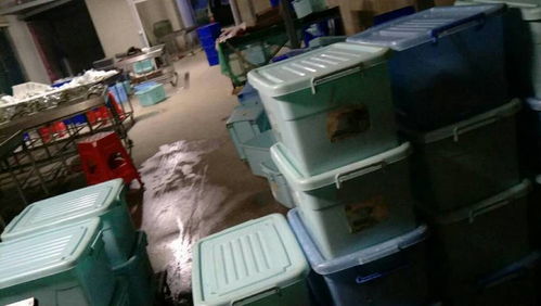 一站式业务转让 厨师配套、消毒餐具设备及办公用品全包