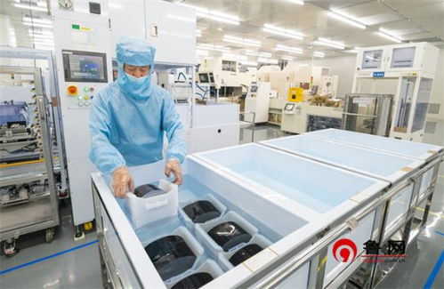 总投资7.4亿元，山东有研刻蚀设备用硅材料及硅片扩产项目正式开工